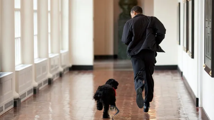 Obama's nemen afscheid van hun geliefde hond Bo