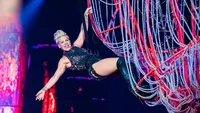P!nk performs live on stage during 2019