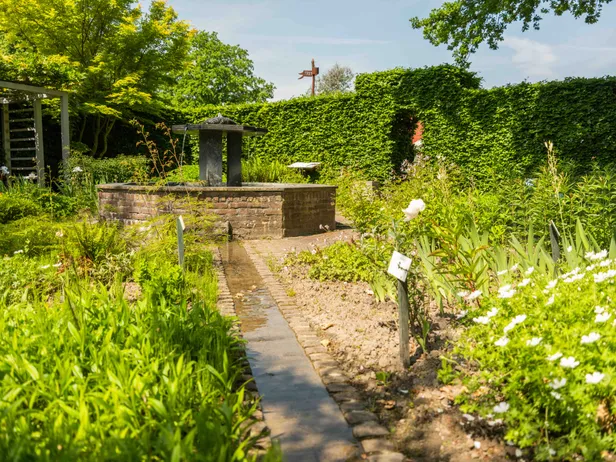 De Kruidhof in Buitenpost