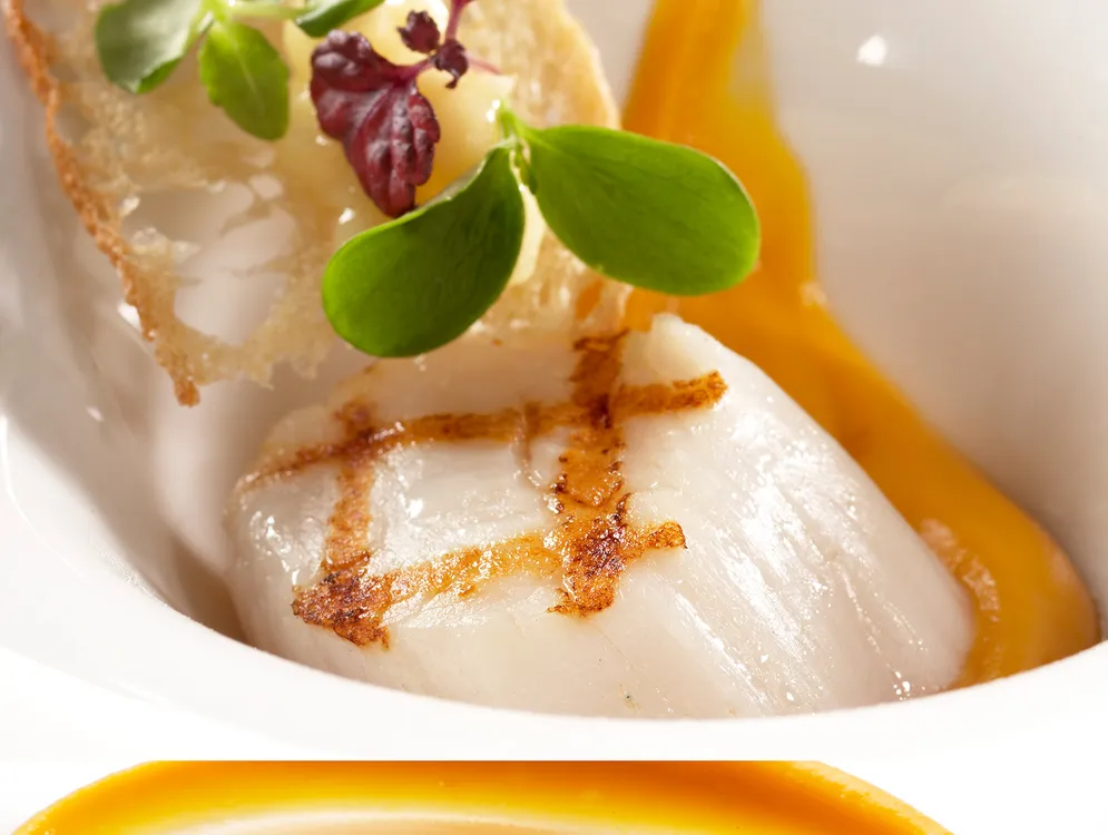 Foto 5 van FG Food Labs