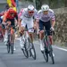 van der poel reageert op pogacar in sanremo 2024