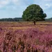 Drenthe