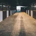 Vrouw (33) krijgt 2,5 jaar cel voor drugsdeal bij manege in Waverveen