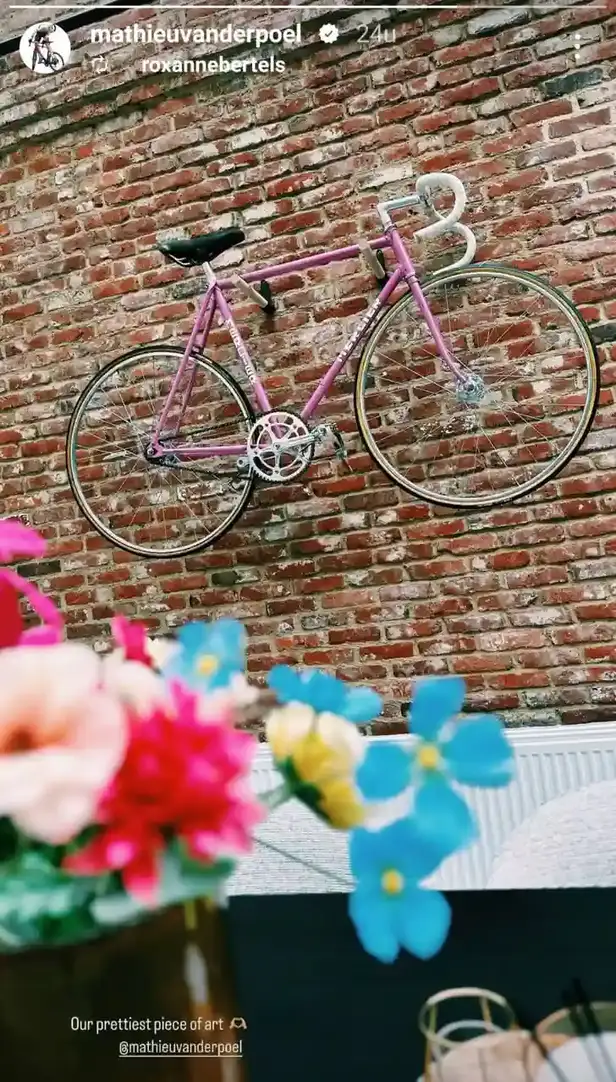 Een oude paarse racefiets van Raymond Poulidor hangt als wanddecoratie tegen de bakstenen muur in het huis van Mathieu van der Poel.