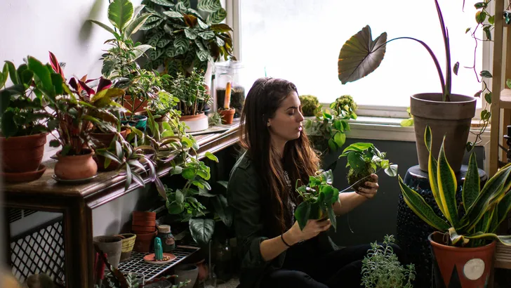 planten liefhebber