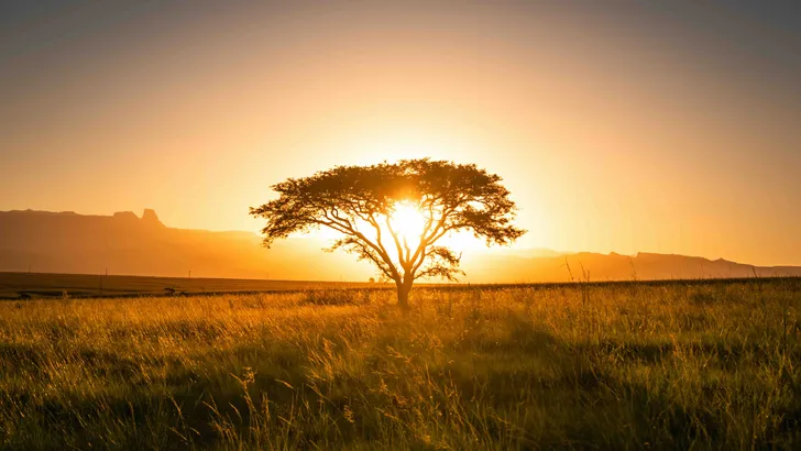 Zuid-Afrika