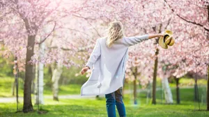 Nu doen: fietsen en wandelen tussen de bloesems