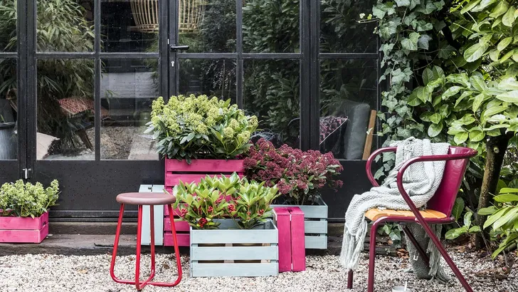 8 redenen om nu planten in je tuin te zetten