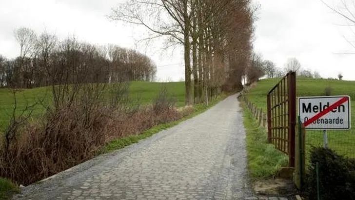 Vlaanderen: peloton heelhuids over Koppenberg