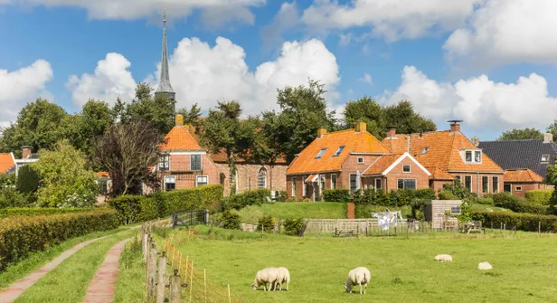 Niehove