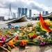 Bloemen bij de Erasmusbrug in Rotterdam