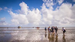 Wadlopen