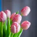 Bloemen