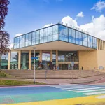 Colorful zebra crossing in front of the modern DNK building in Assen