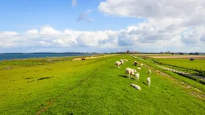 Mieterse wandelingen voor als het slecht weer is