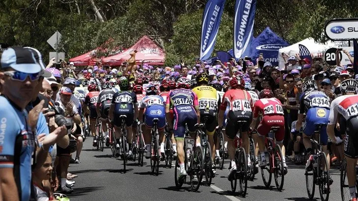 Koersdirecteur Tour Down Under: 'Koers organiseren gewoon business'