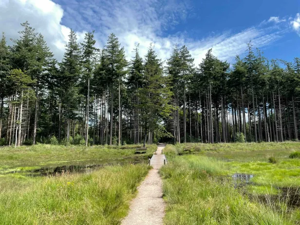Wandelroute in Bakkeveen