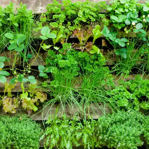Verticale tuin