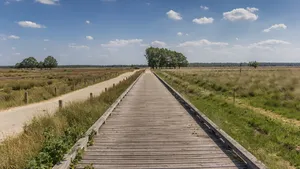 Fietsroutes voorjaar