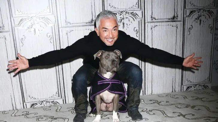 Hondenfluisteraar Cesar Millan onder vuur vanwege dierenmishandeling