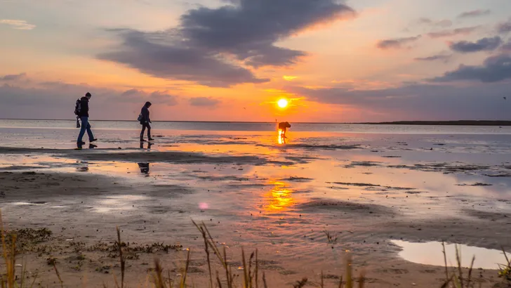 Schiermonnikoog bucketlist