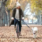 Beautiful young girl riding a bike while walking her dog in the park in autumn.