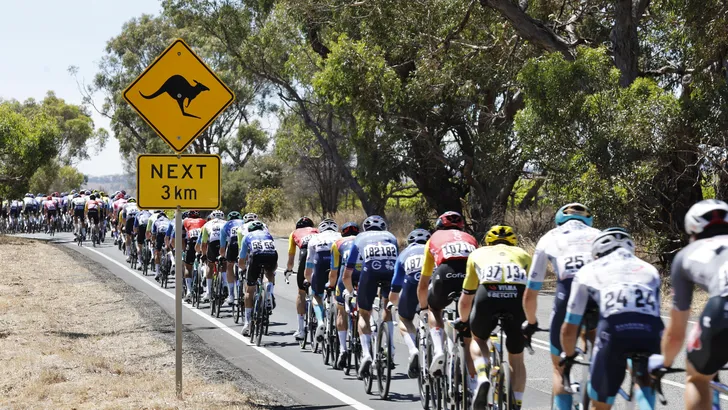 tour down under