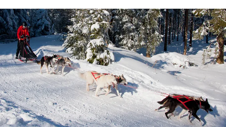 WINTER HIGHLIGHTS IN HET DUITSE THÜRINGEN