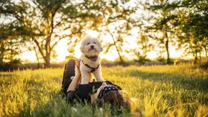 Uitgelaten! De 3 fijnste wandelingen met je hond