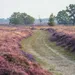 Drenthe