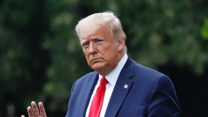 Nichtje Donald Trump klapt uit de school in schokkend boek