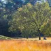 Drenthe