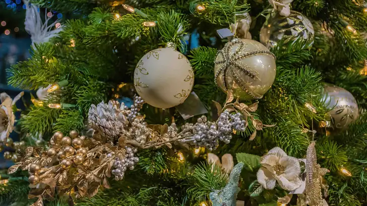 Tuincentra in Drenthe