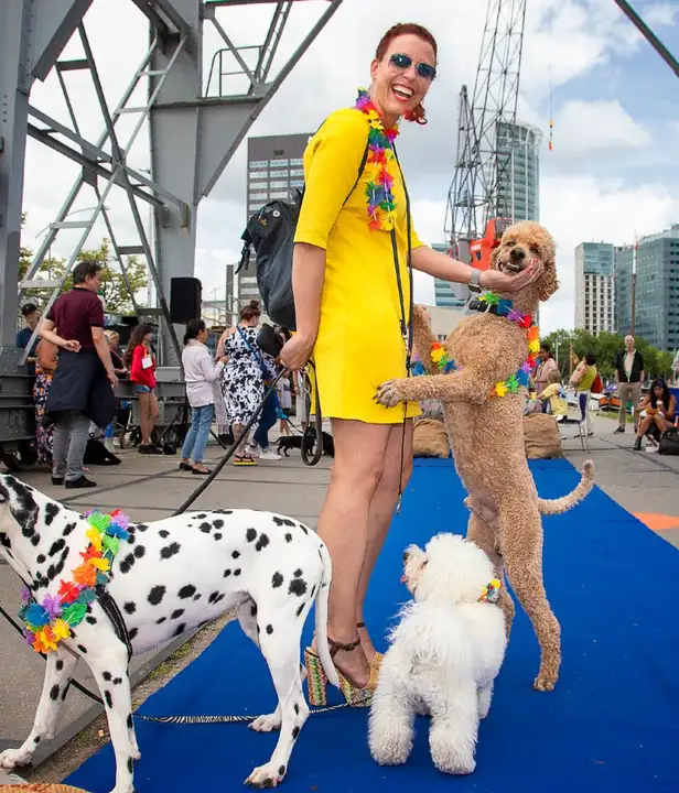 Op bezoek bij de Scheepshondenparade in Rotterdam