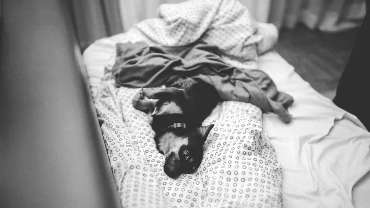 Dít moet je eten tijdens je menstruatie