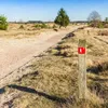 Wandelen in het Drents-Friese Wold: op pad over het Boswachterspad Olde Smildeger | Noorderland