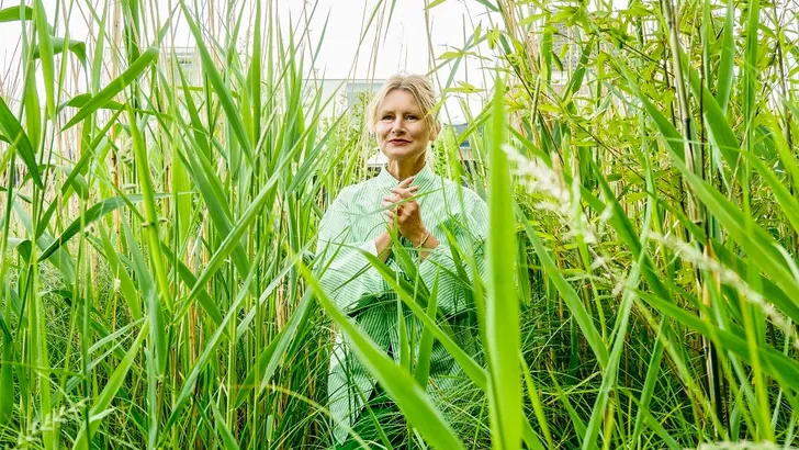 Carien van Boxtel: 'Tuinieren is een kunstvorm, ik schilder met bloemen en planten'