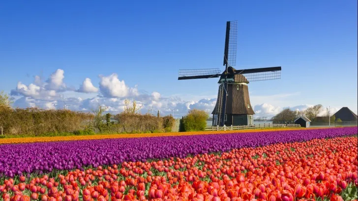 Dít is de leukste plek om te wonen in Nederland