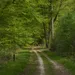Valtherbos
