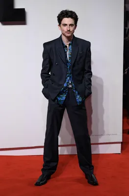 Timothée Chalamet bij de première van A Complete Unknown