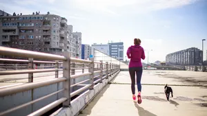 Hoe een hond nemen je gezondheid verbetert