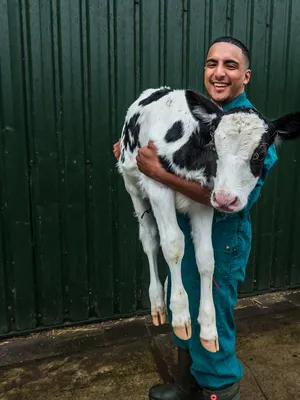 De enige Marokkaanse boer in Nederland