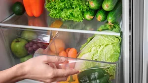 Voedselverspilling tegengaan? Waarom je vandaag nog een spons in je koelkast moet leggen