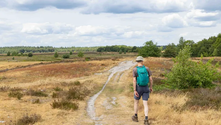 Korte wandelroutes Drenthe