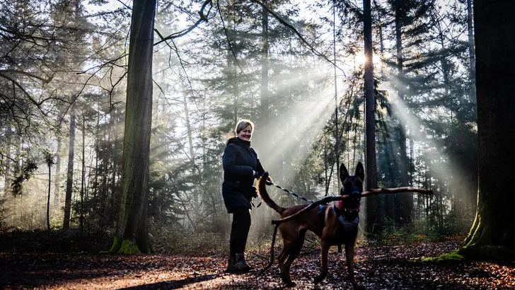 Vrouw aan het wandelen in het bos met hond