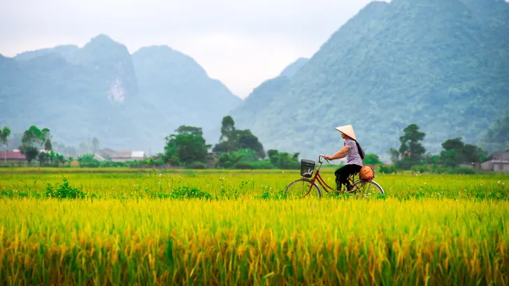 vietnam fietstocht op reis