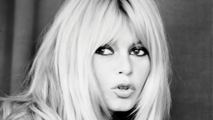 Hollywood-actrices zijn hypocriet, aldus Brigitte Bardot