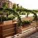 Sapling Spirits Floating Garden