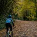 beeld van een wielrenner in de herfst