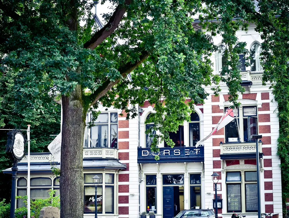 Foto 3 van Dorset